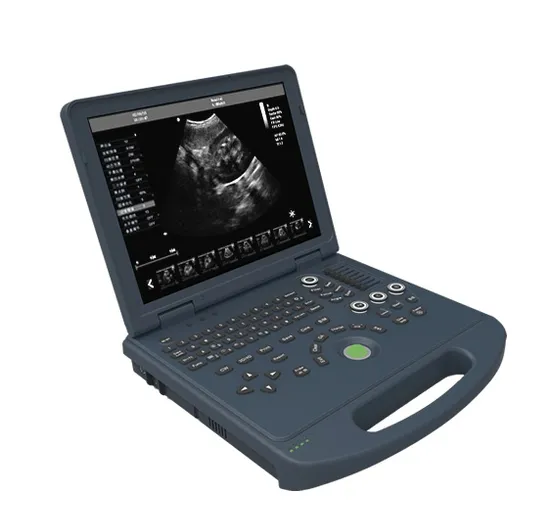 Veterinary Ultrasound Diagnostic System Laptop Size PT