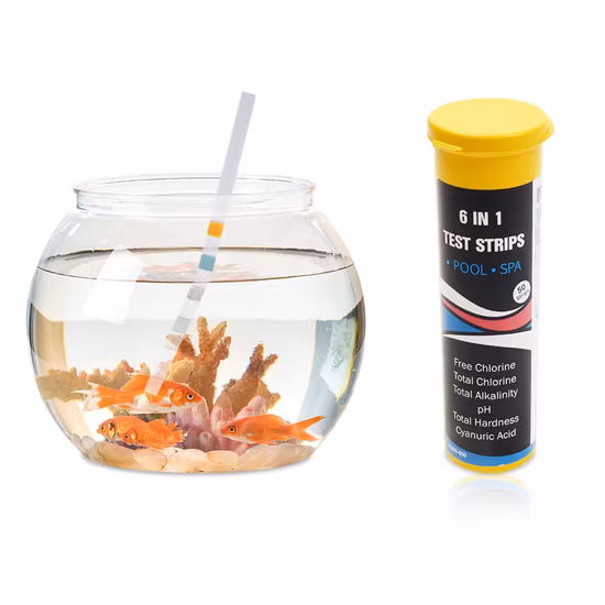 Pool and SPA Test Strips for Hot Tubs, 6