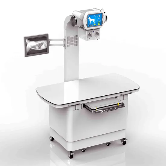 Medical Equipment Hospital Use Veterinary Diagnostic Digital Radiography Equipment X Ray Machine 