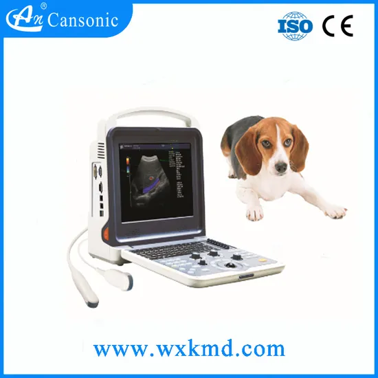 Veterinary Color Doppler Ultrasonic Diagnostic System 