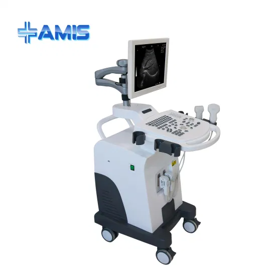 Full Digital Trolley Mobile Medical Hospital Clinic B/W Ultrasound Machine