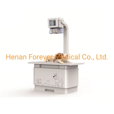 Veterinary Diagnostic High Frequency Mobile Digital Medical Animal Flaw Detection X