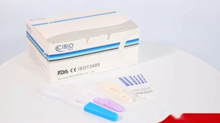 Pregnancy Test Most Accurate, Urine Pregnancy Test Strip, in Vitro Pregnancy Rapid Test Kits