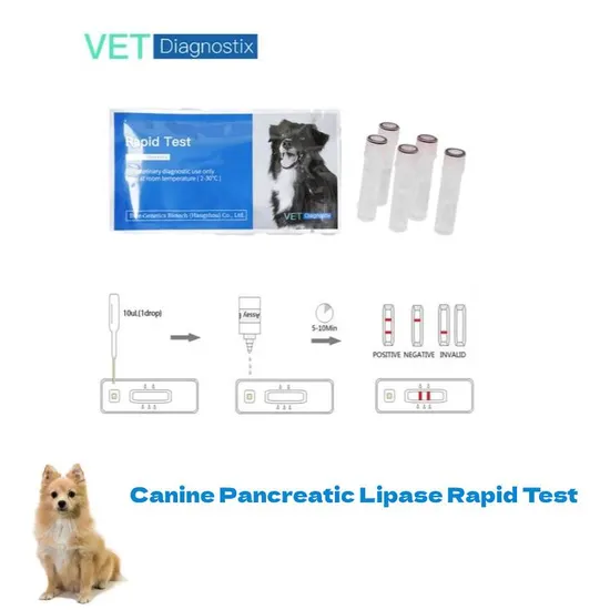 Canine Pancreatic Lipase Rapid Test CPL Test Kit 